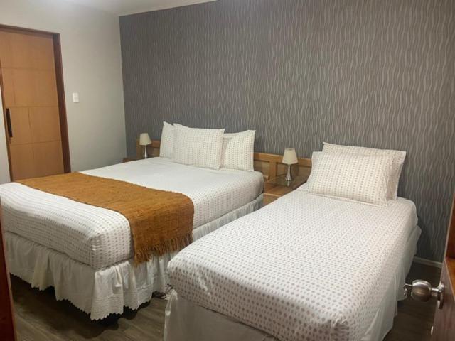 Cabanas Bosque Austral Πούντα Αρένας Εξωτερικό φωτογραφία